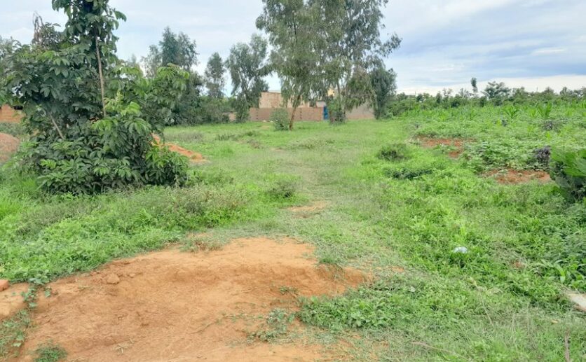 land for sale in Bugesera (12)