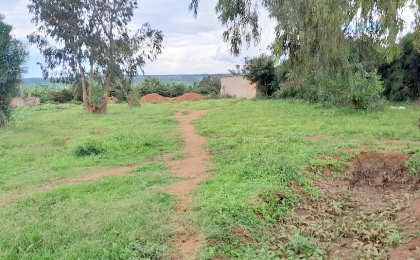 land for sale in Bugesera (13)