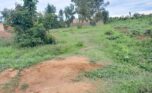 land for sale in Bugesera (15)