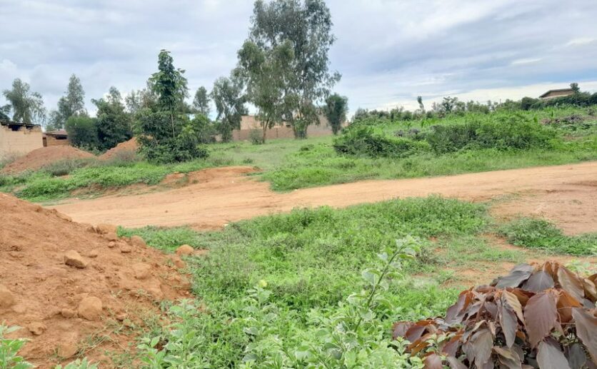 land for sale in Bugesera (17)