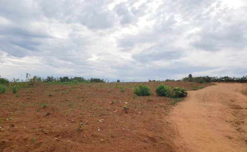land for sale in Bugesera (4)