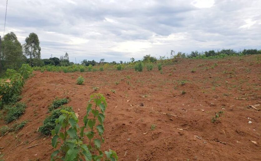 land for sale in Bugesera (6)