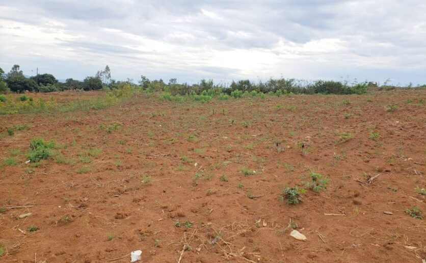 land for sale in Bugesera (7)
