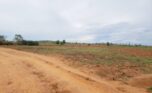 land for sale in Bugesera (8)