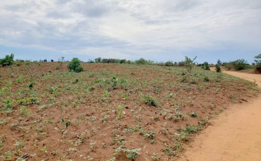 land for sale in Bugesera (9)