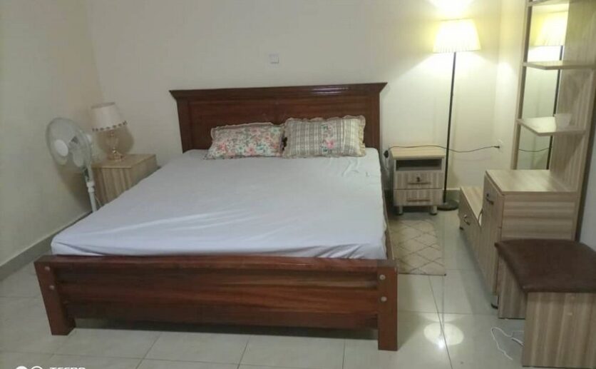 Fully furnished house for rent (3)