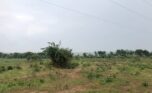 Land for sale in Bugesera (8)