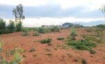 Land in Bugesera (20)
