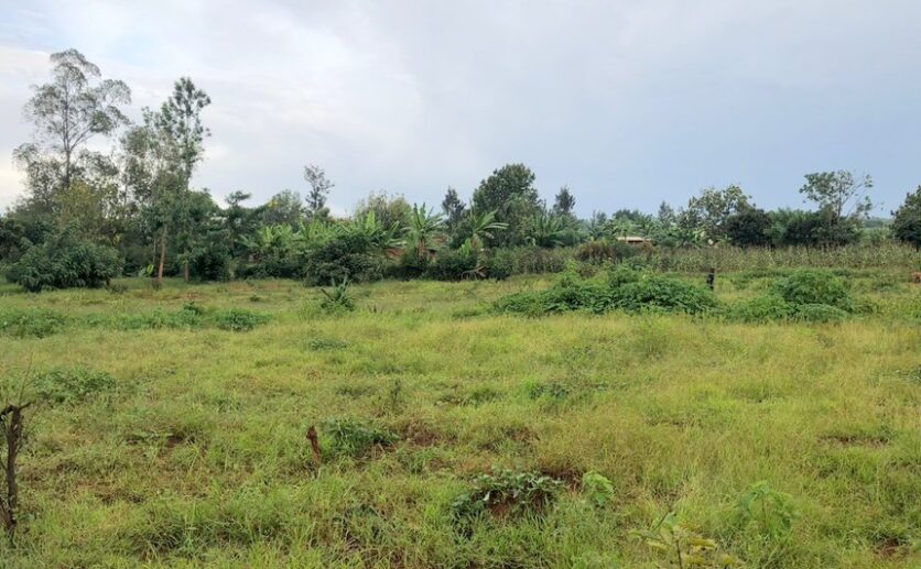 Land in Bugesera (4)