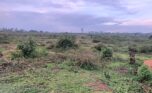 Land in Bugesera (8)