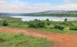 Land on Lake for sale (2)