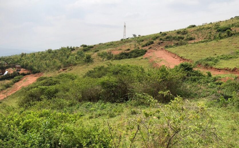 Land for sale in Bumbogo (11)