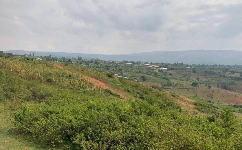 Land for sale in Bumbogo (9)