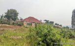 Land for sale in Nyamirambo (5)
