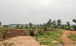 Land for sale in Nyamirambo (8)