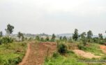 Land for sale in Nyamirambo (9)
