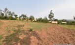 Land for sale in Rusororo (1)