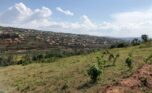 Land for sale in Rusororo (11)