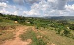 Land for sale in Rusororo (12)