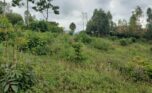 Plot of land in Gacuriro (1)