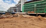 progress photos April 15 2026 (5)