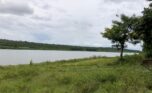 Big land for sale on lake (5)
