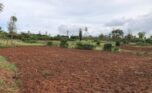 Bugesera land for sale (10)