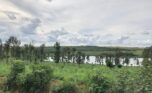 Bugesera land for sale (11)