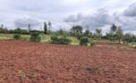 Bugesera land for sale (4)