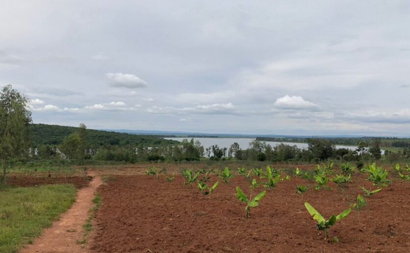 Land for sale in Bugesera (10)