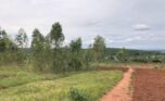 Land for sale in Bugesera (11)