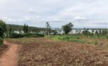 Land for sale in Bugesera (15)