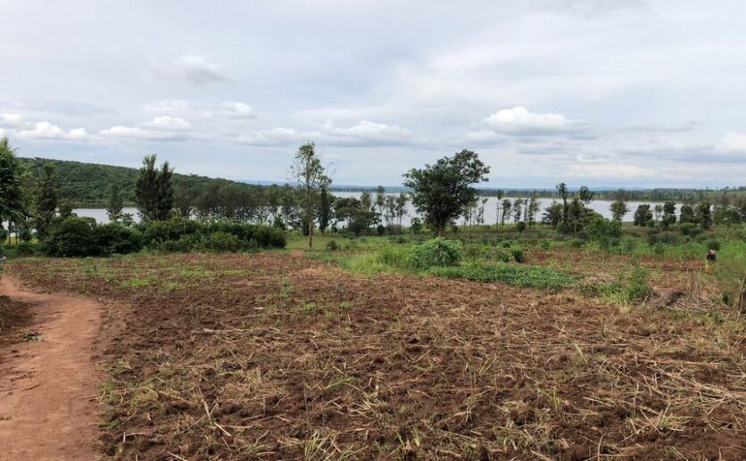 Land for sale in Bugesera (16)