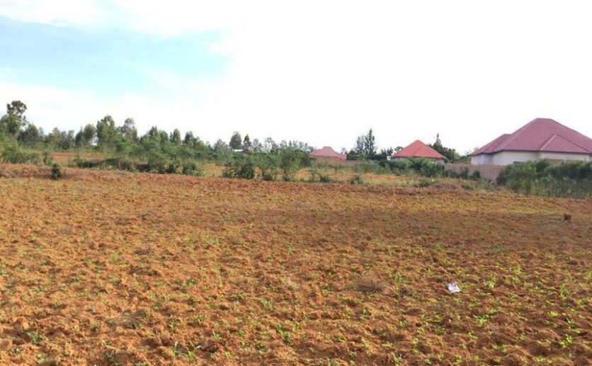 Land for sale in Bugesera (2)