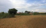Land for sale in Bugesera (3)