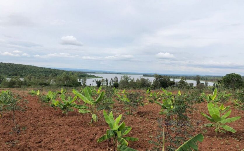 Land for sale in Bugesera (3)