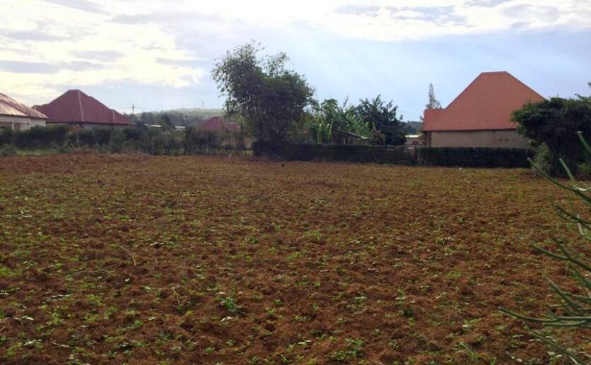 Land for sale in Bugesera (5)