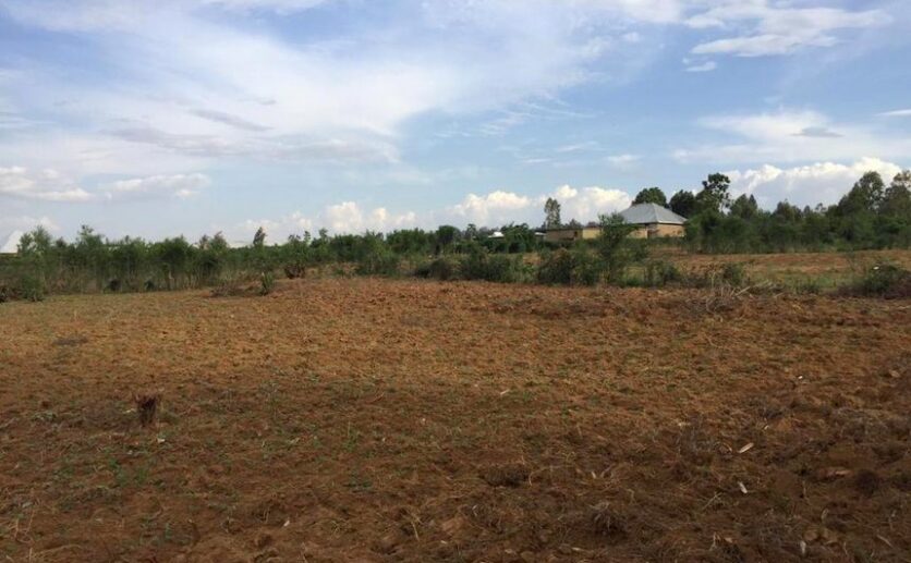 Land for sale in Bugesera (6)