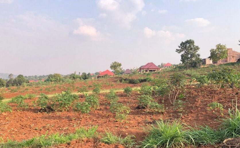 Land for sale in Kanyinya (2)