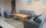 3 bedrooms apartment for rent (10)