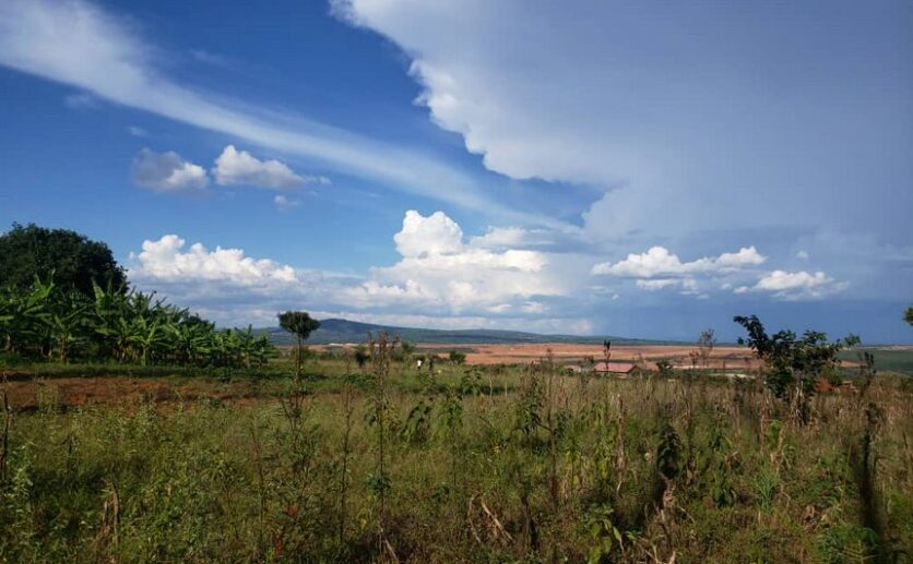 Land for sale in Nyamata (10)