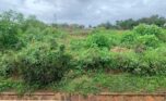 Land for sale in Umucyo estate (4)