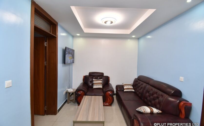 2 bedroom apartment for rent (5)