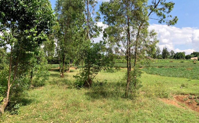 3 hectares plot in Rusororo (1)
