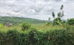 3 hectares plot in Rusororo (10)