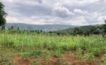 3 hectares plot in Rusororo (4)