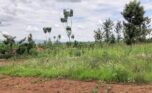3 hectares plot in Rusororo (5)