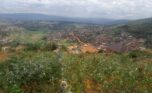 A plot for sale in Bumbogo (9)