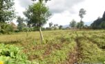 Land for sale in Musanze (6)
