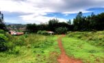 Land for sale in Rusororo (1)